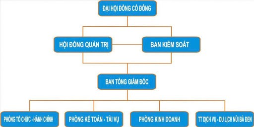 Cơ cấu tổ chức trong công ty cổ phần