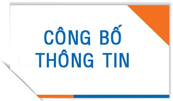 Doanh Nghiep Co Nghia Vu Cong Bo Nhung Thong Tin Gi