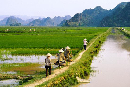 Thế chấp quyền sử dụng đất của hộ gia đình theo quy định mới